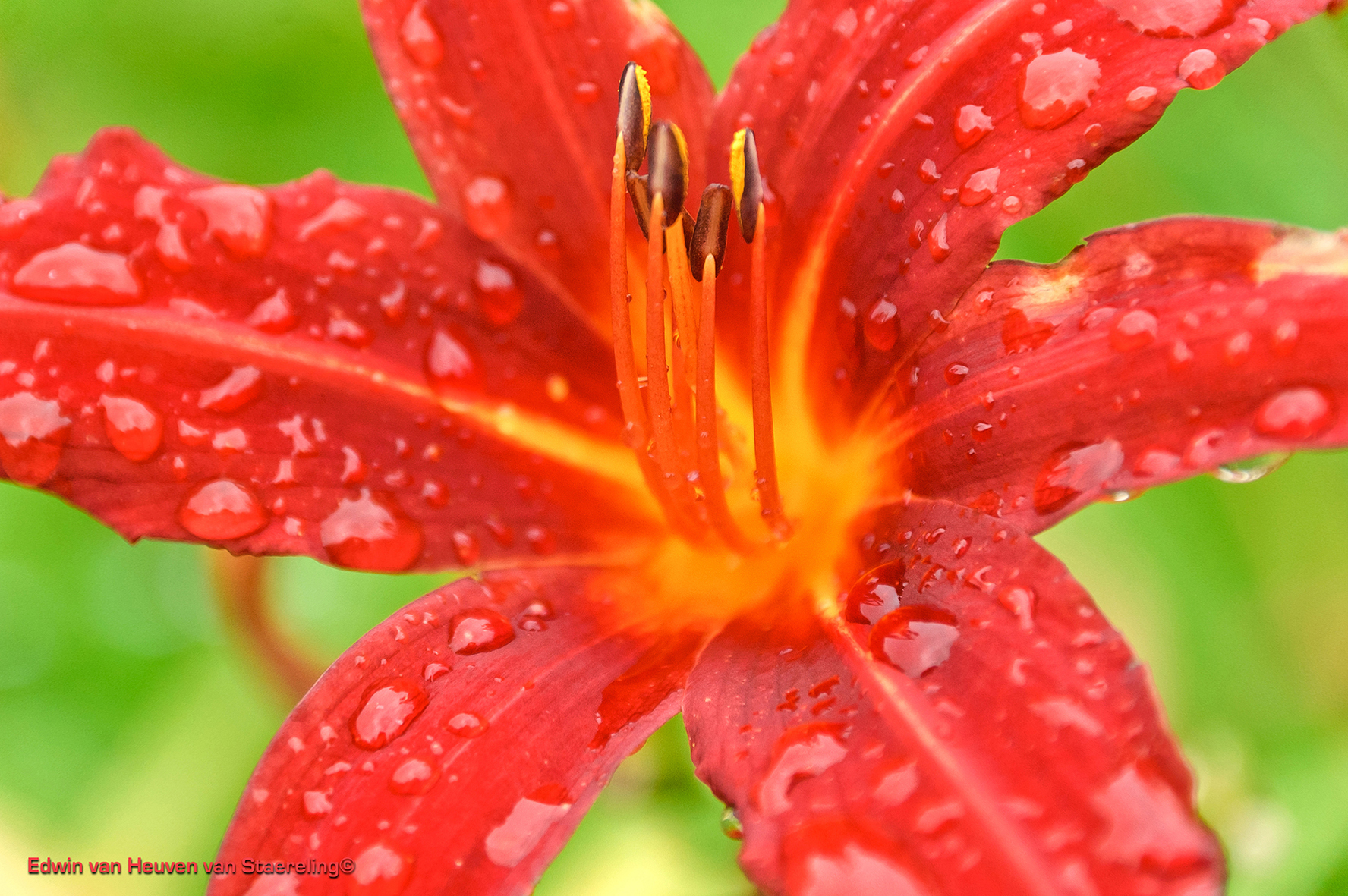 op-een-regenachtige-dag