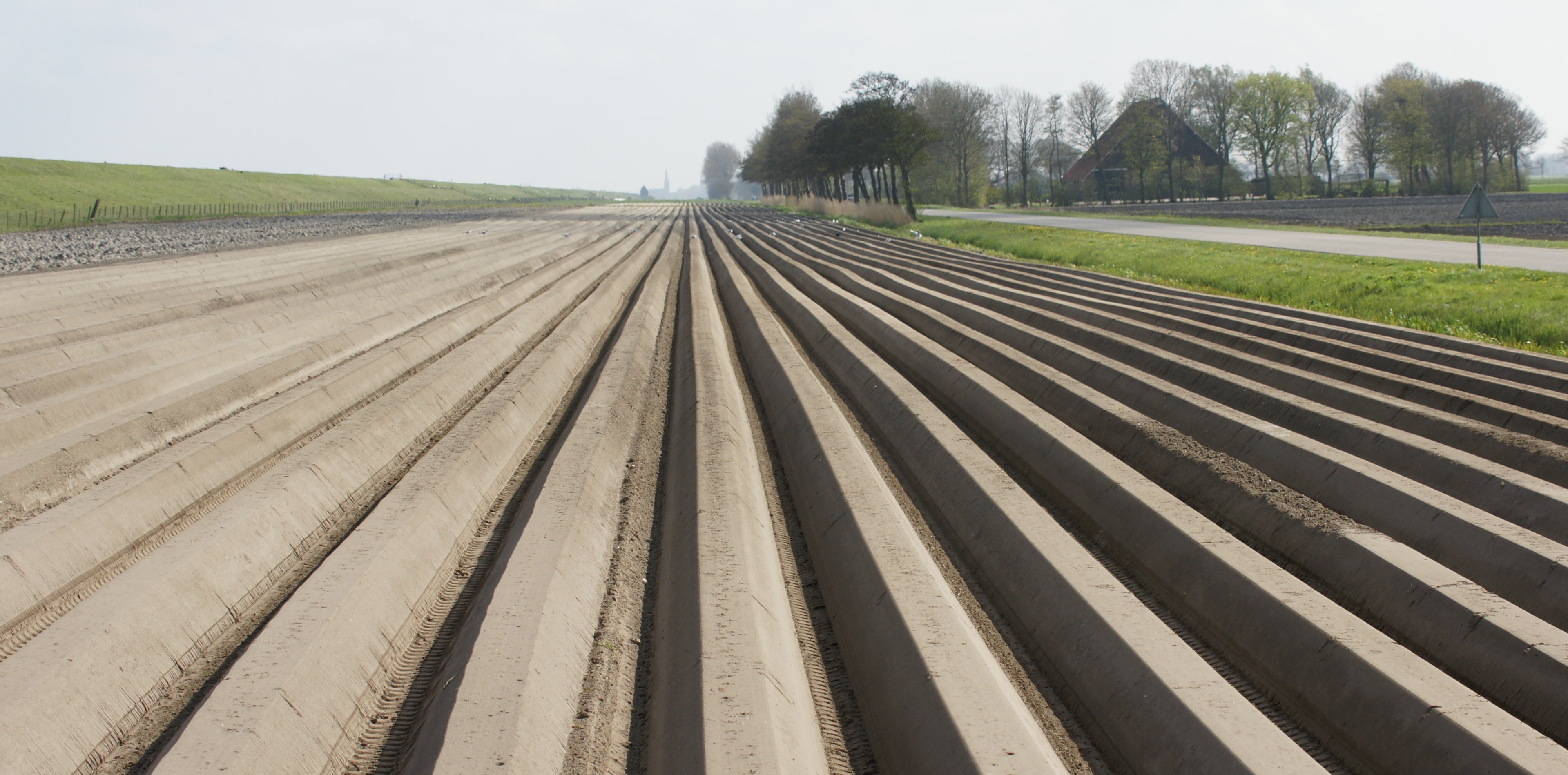 hollands-perspectief