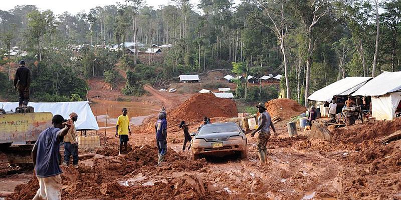 thijs-heslenfeld-legt-leven-in-oerwoud-suriname-vast