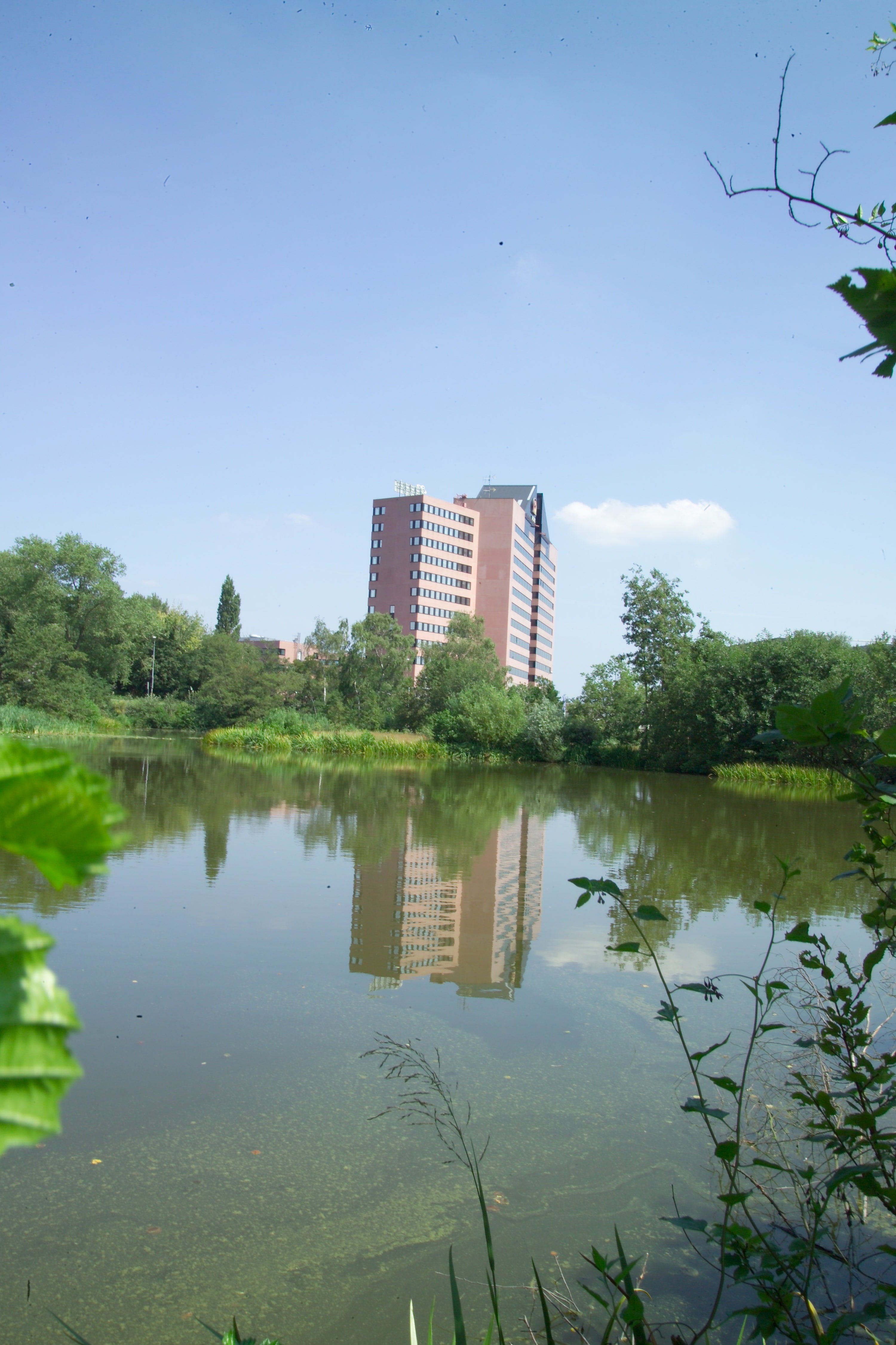 de-heinisin-den-bosch