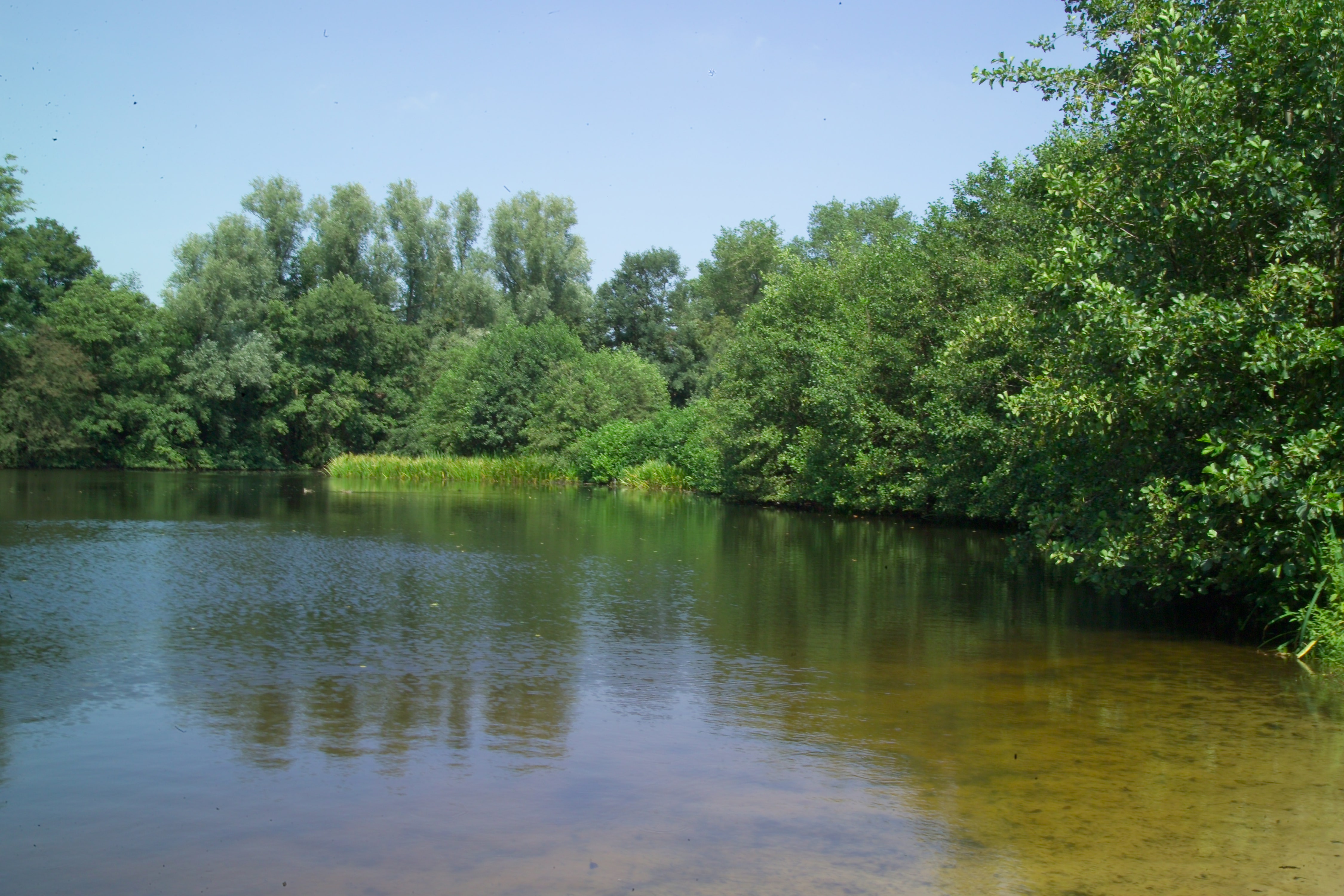 de-heinis-natuurgebied-in-den-bosch