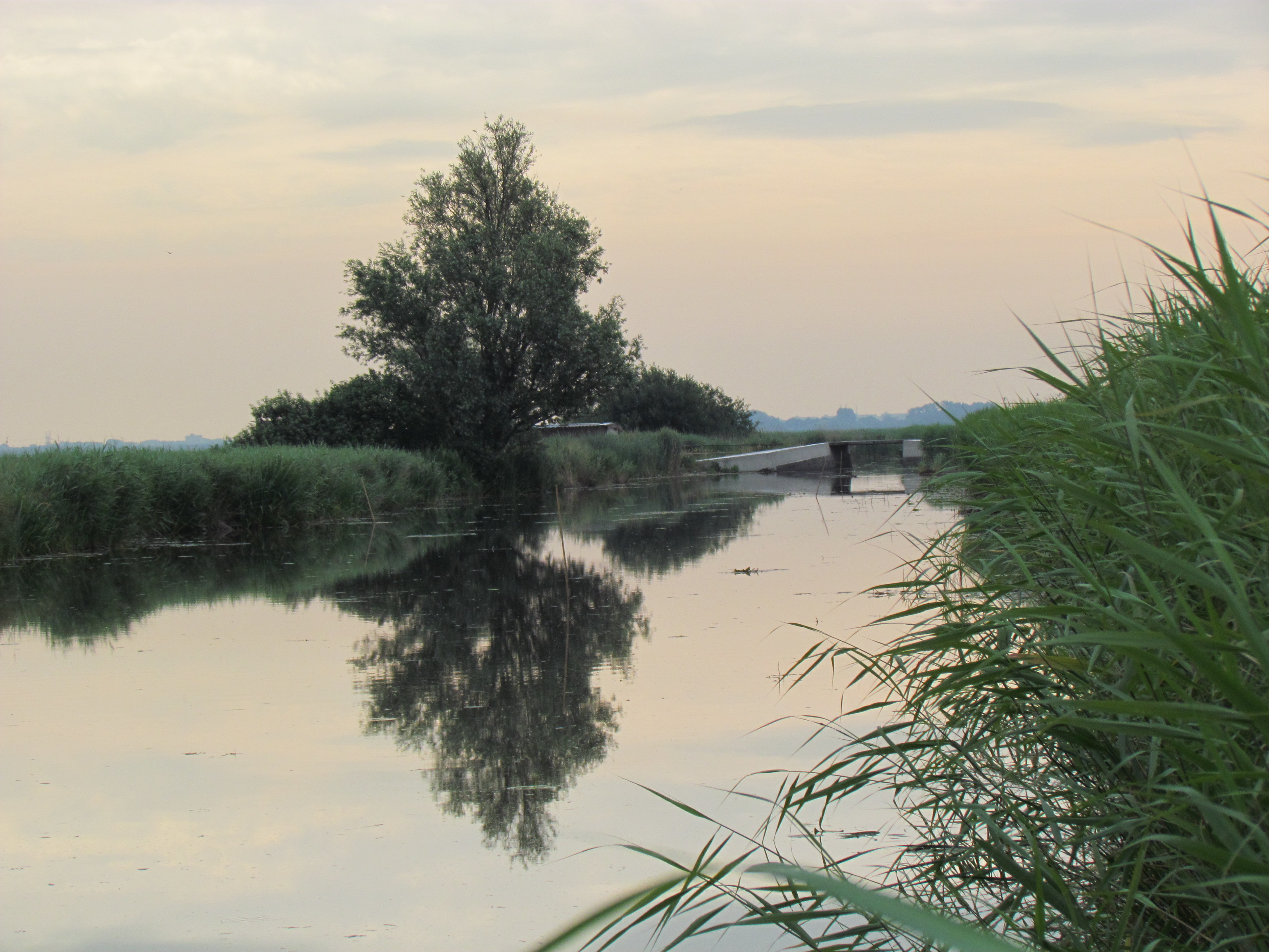 polder-28