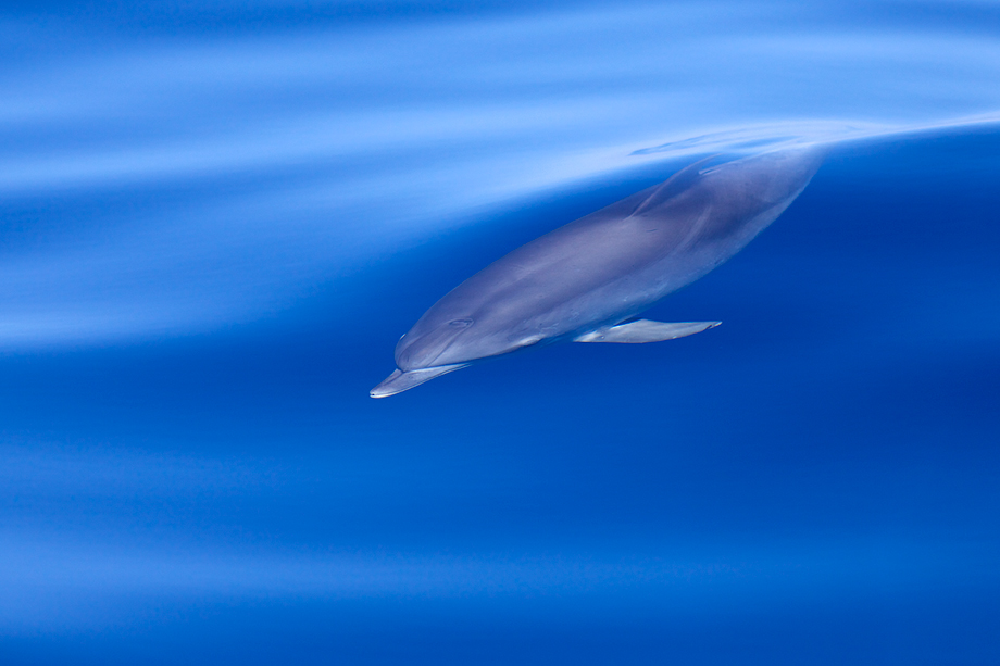 mooi-blauw-is-niet-lelijk-1