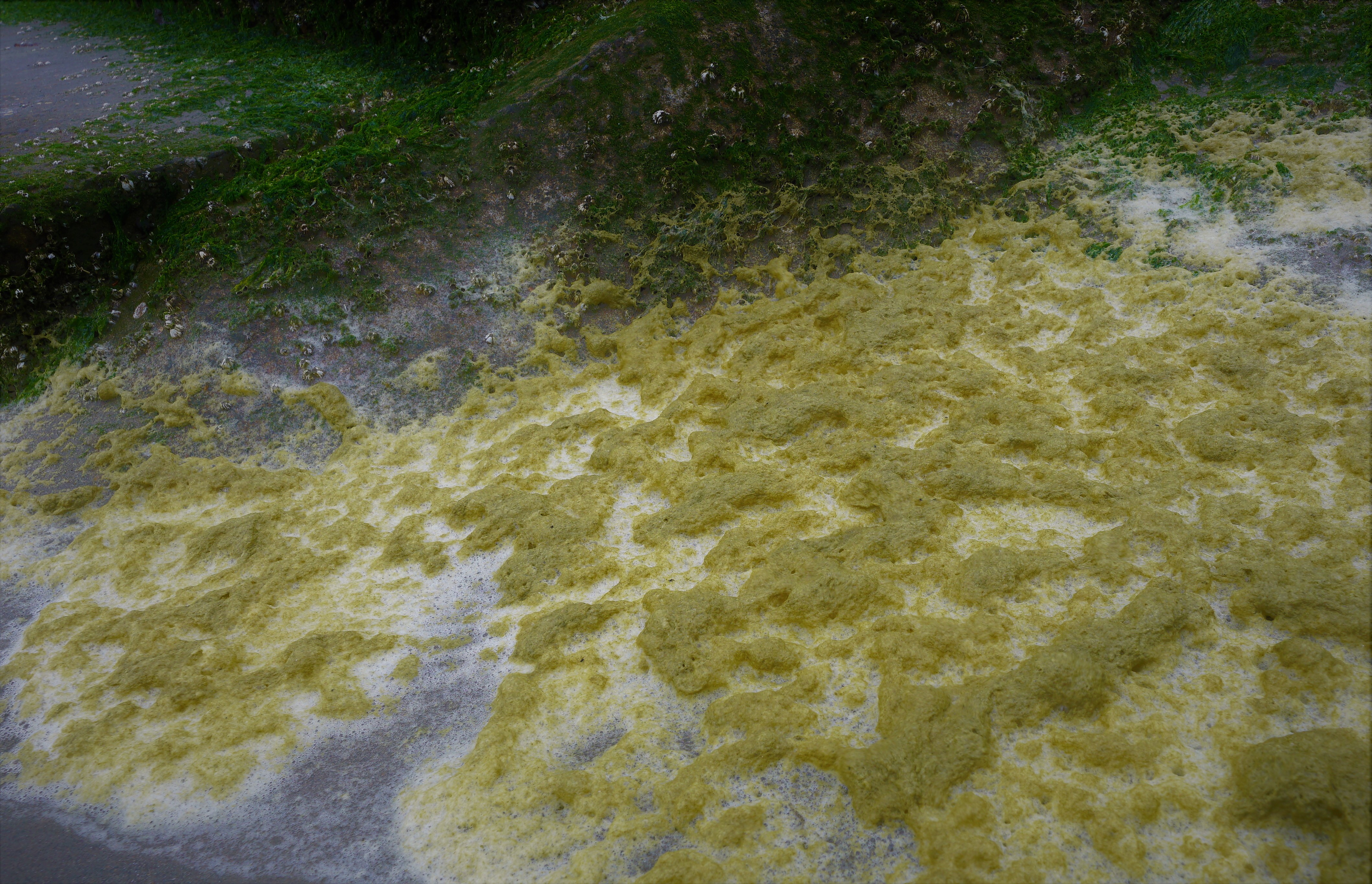 kleuren-van-het-strand