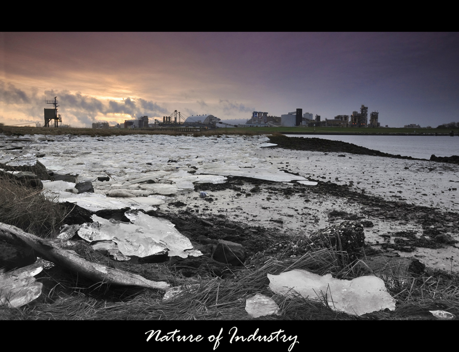 nature-of-industry