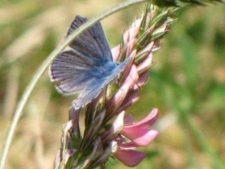 vrije-natuur-in-italie