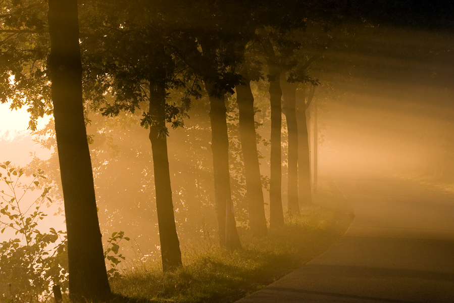 dromend-wakker-worden