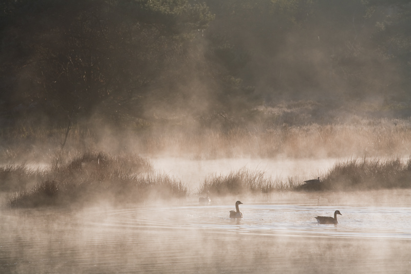 ochtendmist-boven-ven