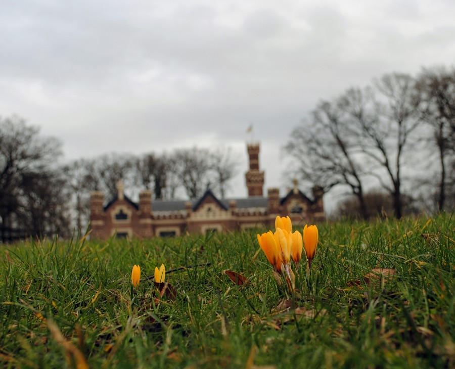 groeiend-het-winterbeeld-verdrijven