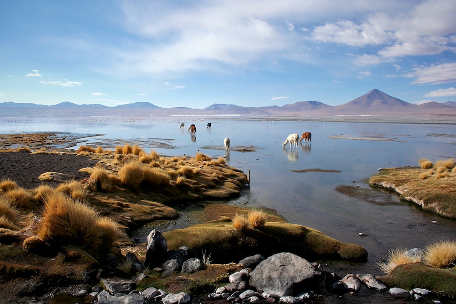 dwars-door-de-andes-bolivia