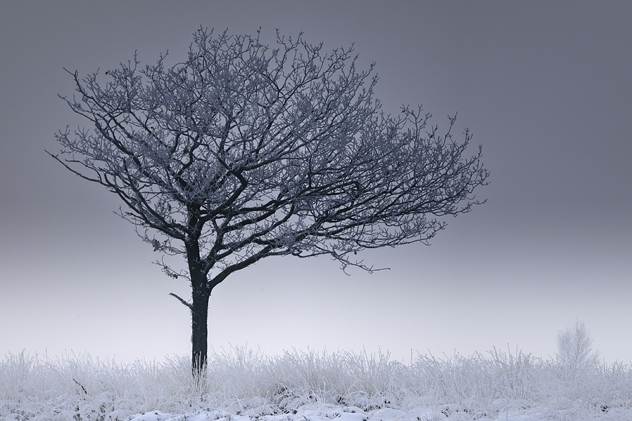 winter-in-duurswoude