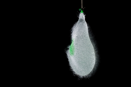 in-a-split-of-a-second