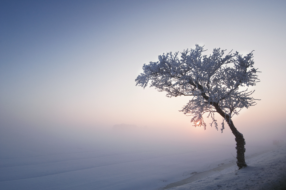 zondsondergang-over-een-mistige-polder