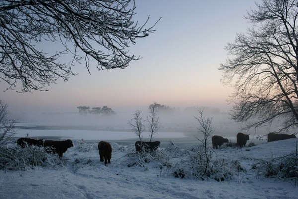 winters-landschap-2