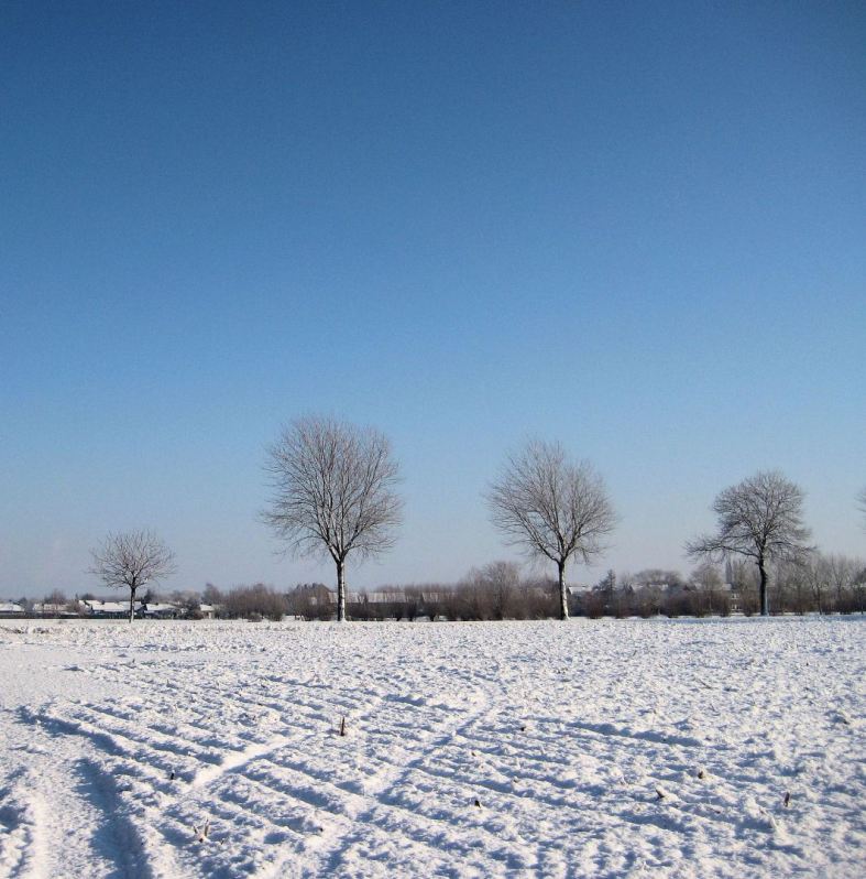 winterlandschap-19