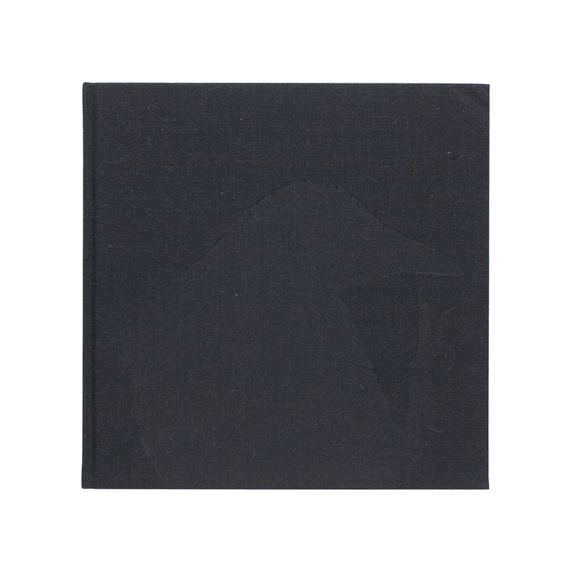 de-impact-van-karasu-masahisa-fukase