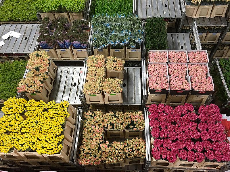 vertrouwen-nederlandse-exporteurs-op-recordhoogte