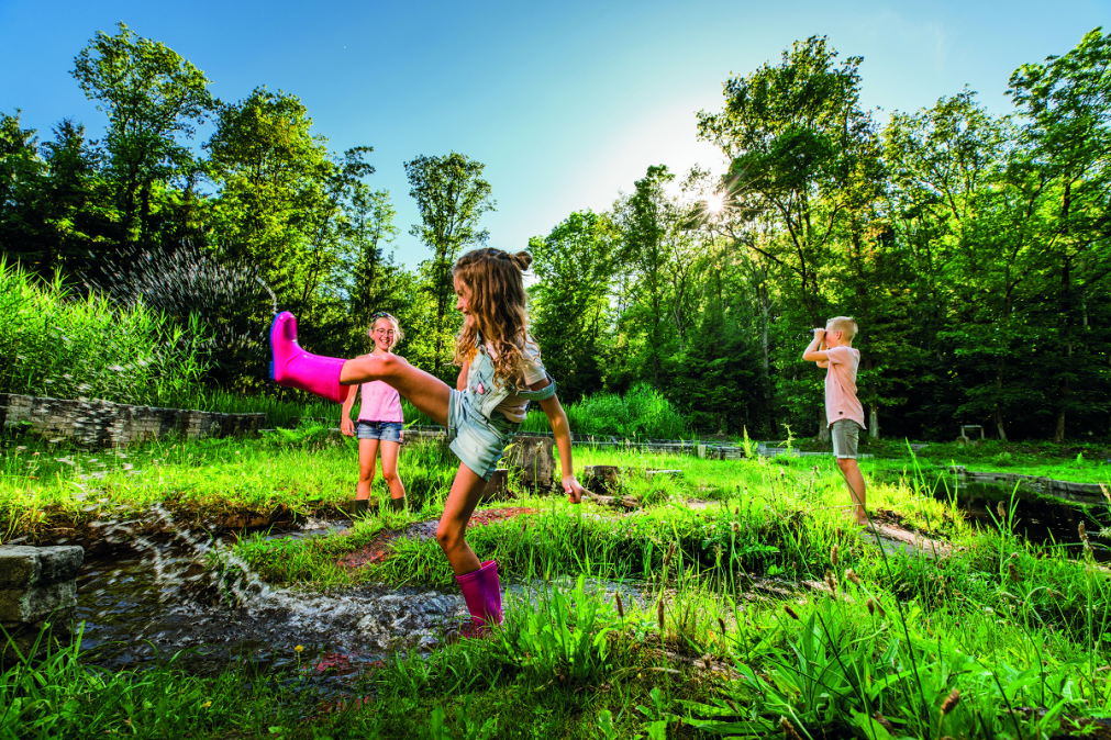 stuur-jouw-mooiste-natuurfoto-in-en-win