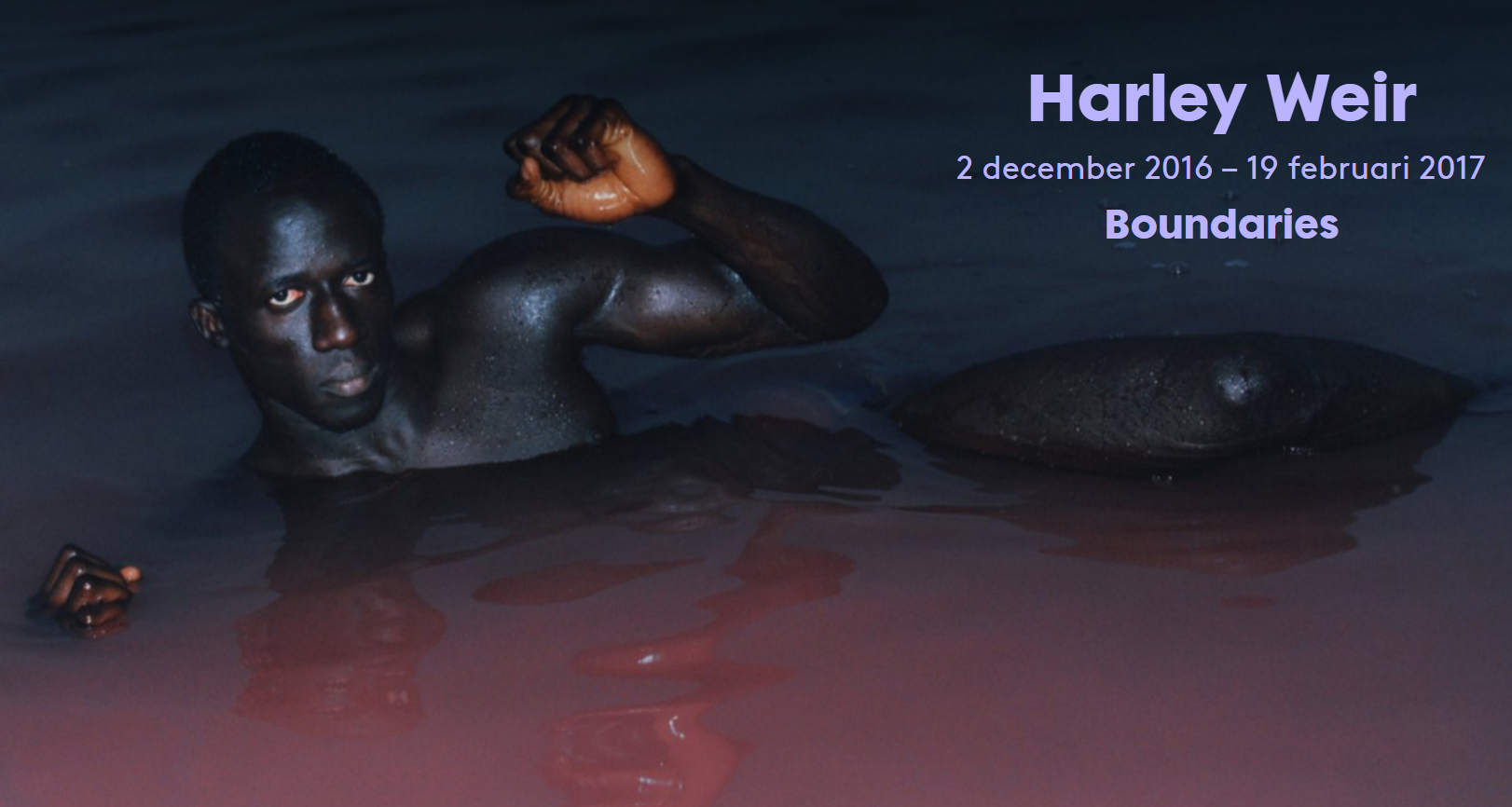 harley-weir-exposeert-in-foam