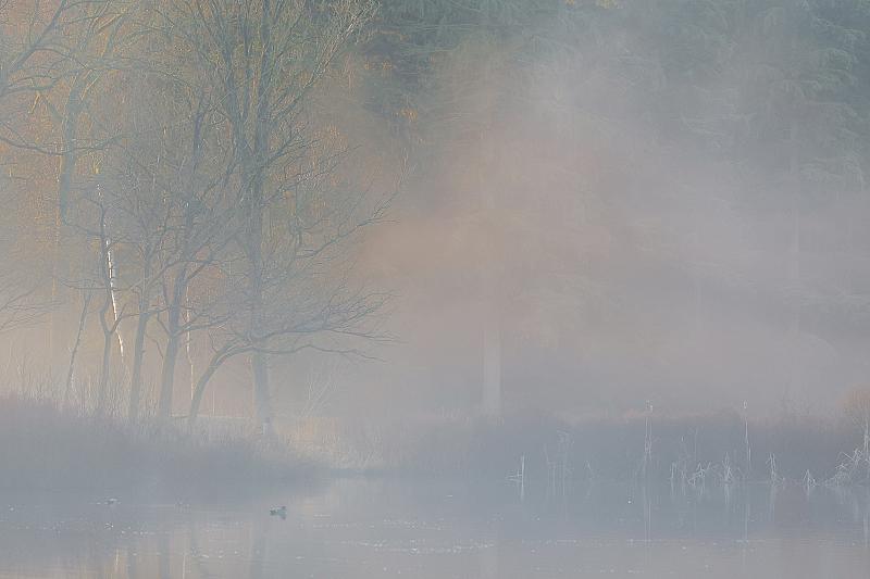 good-start-of-the-day