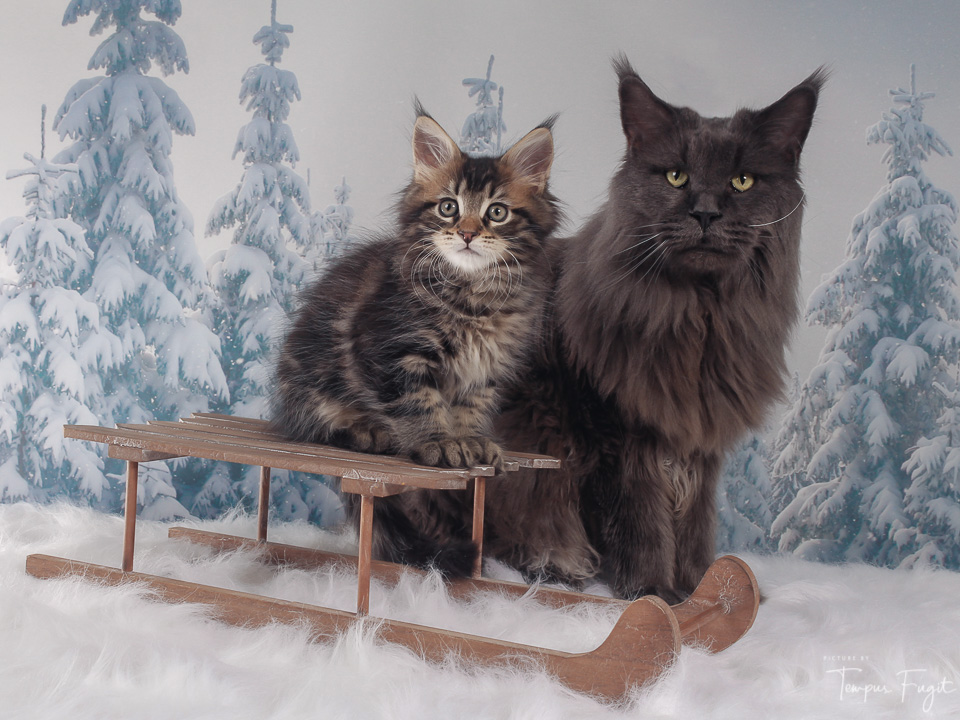 vader-en-zoon-op-de-slee