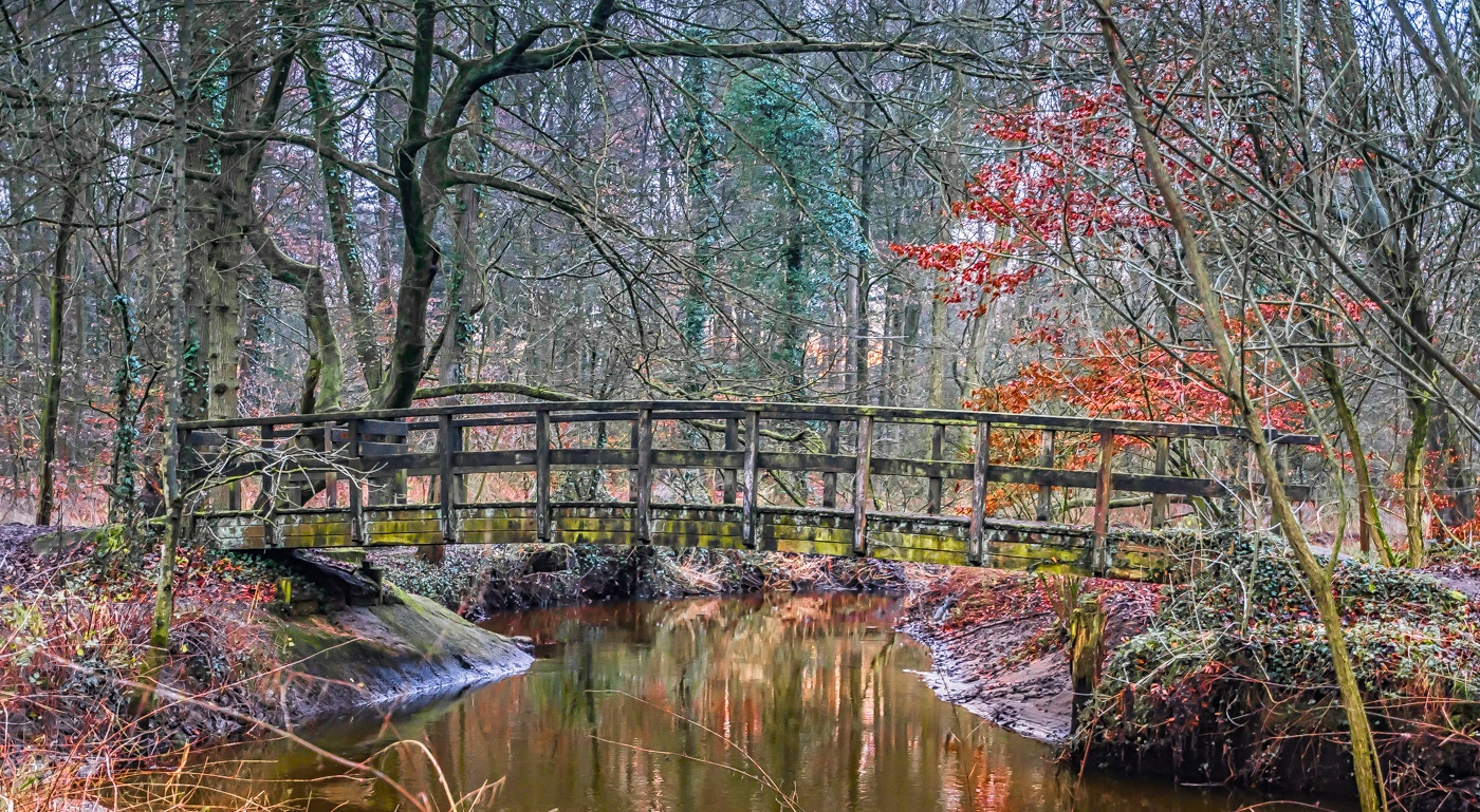 het-bekende-bruggetje-in-natuurgebied-bekendele-winterswijk