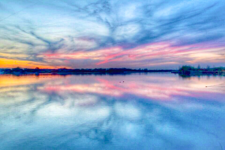 kou-in-de-lucht-foto-uit-de-oude-doos