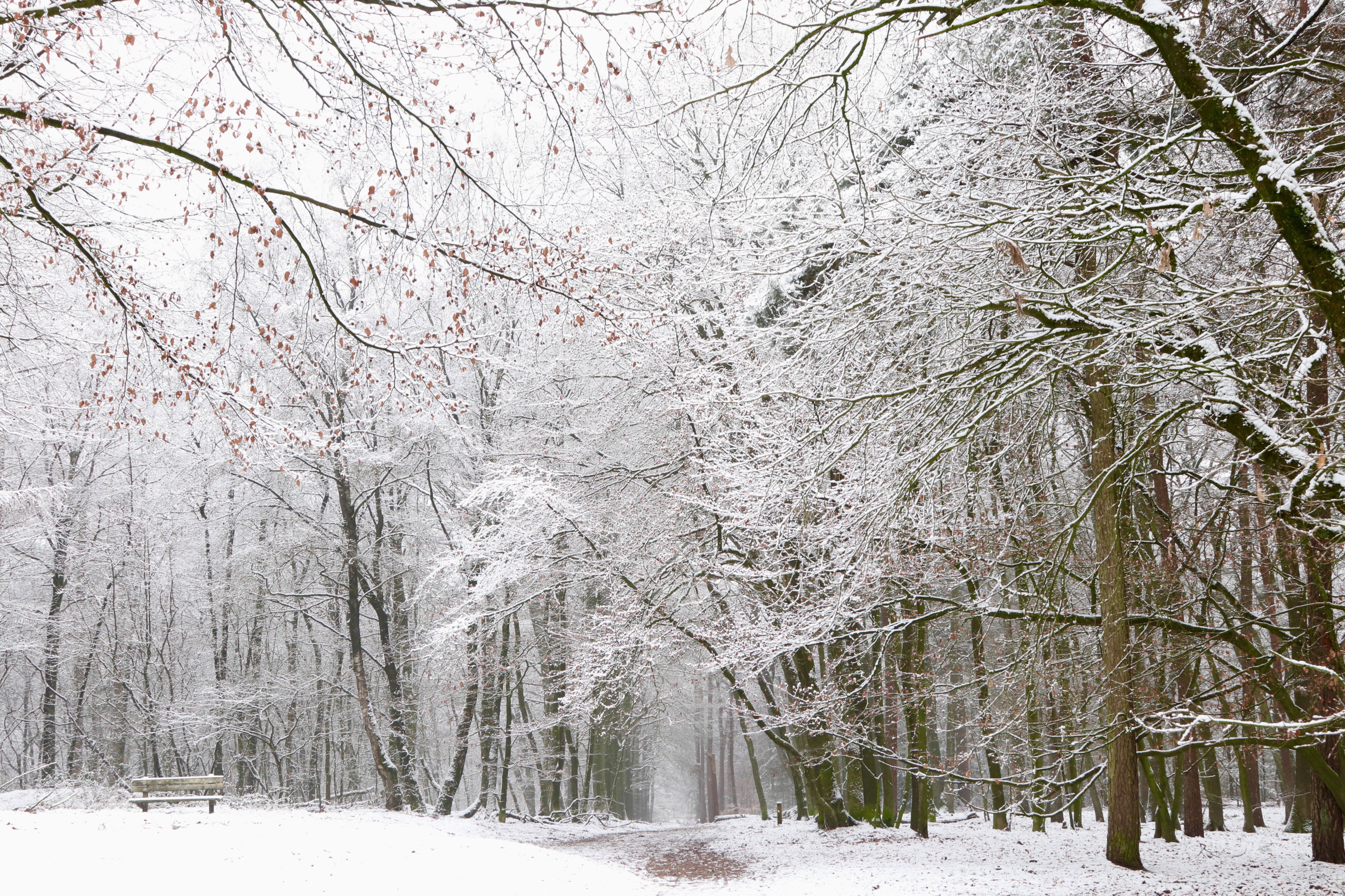 wonderful-white-world-i