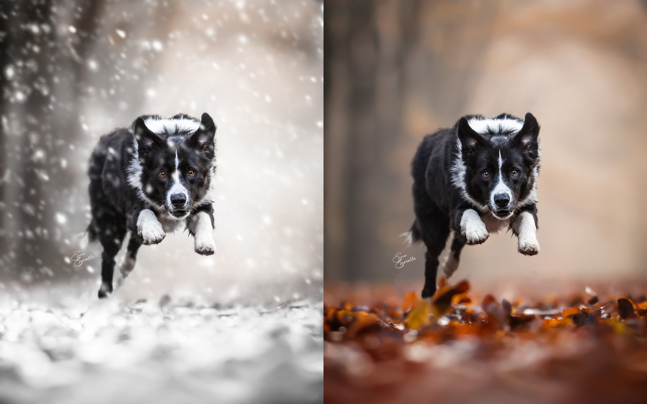 winter-vs-fall