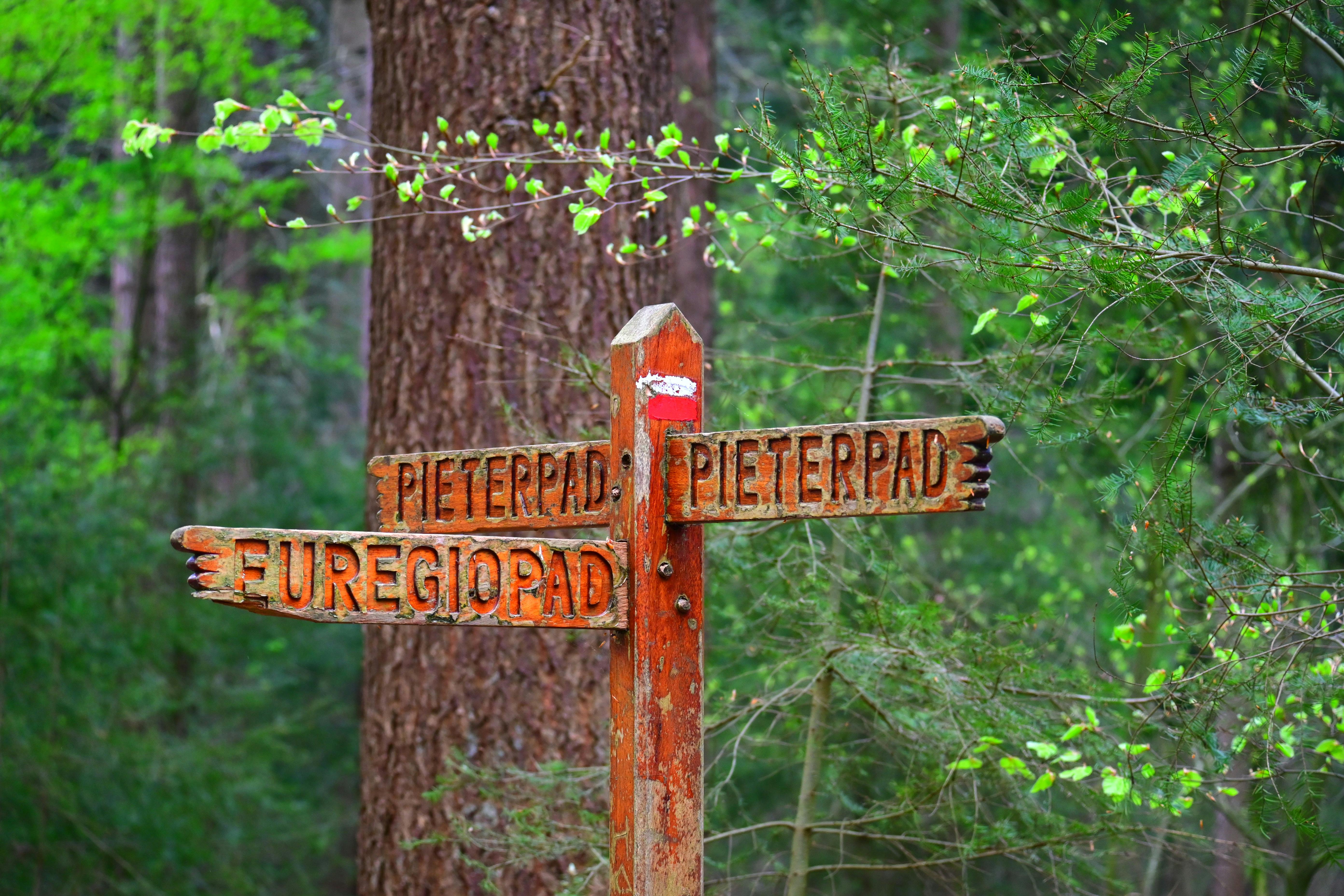 pieterpad-fotograferen-route-vol-contrast