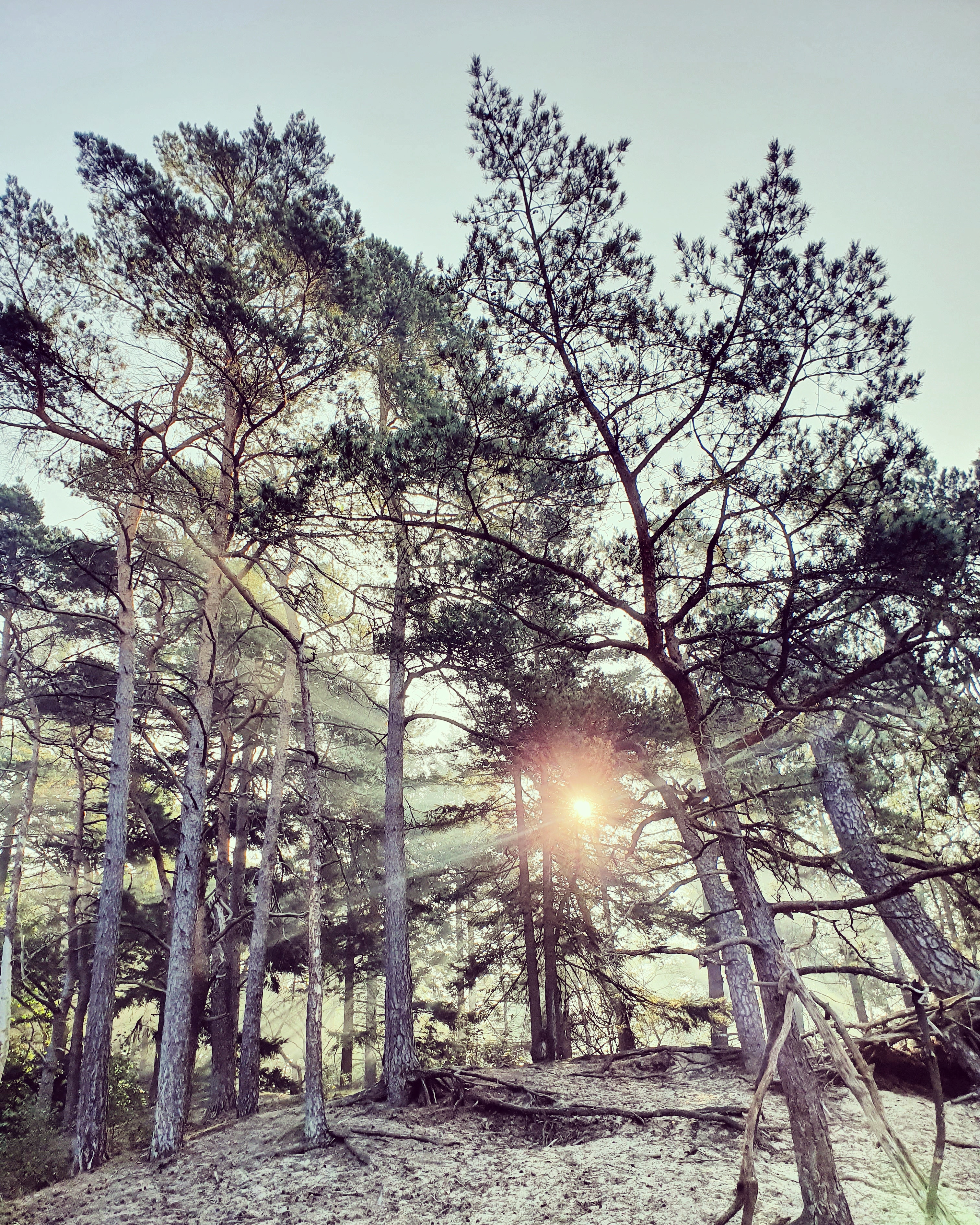 zandvlakte-in-de-ochtend