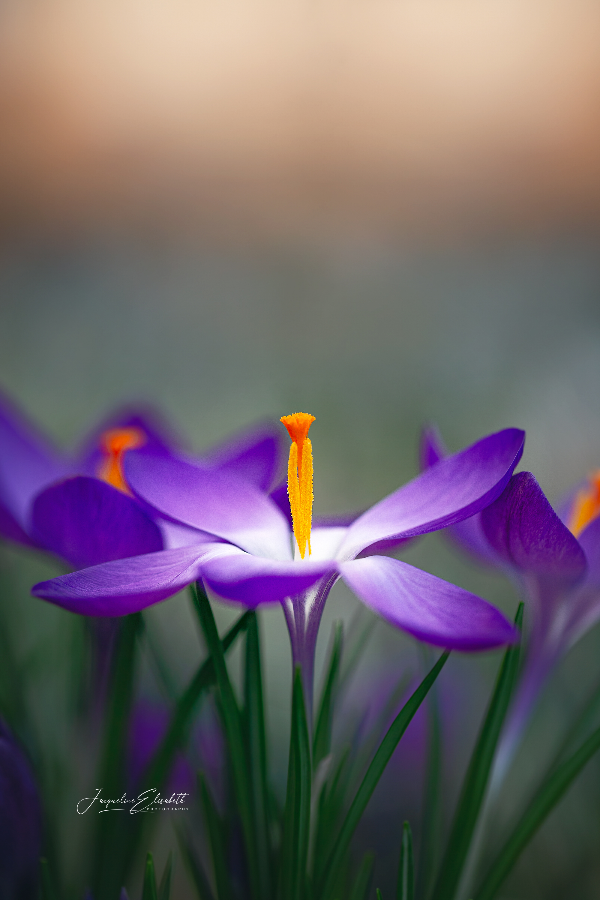 light-finds-me-anyway