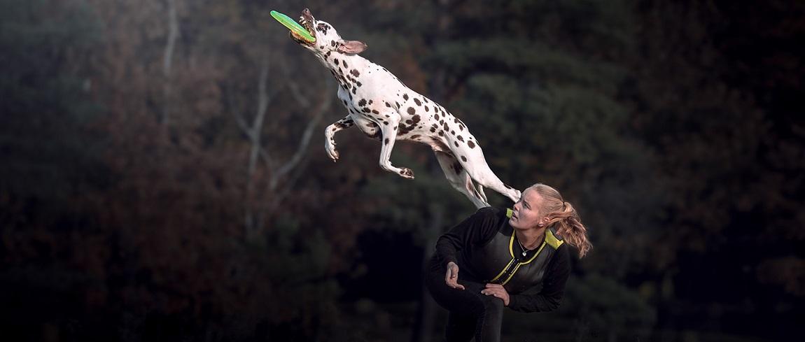 fotofair-2020-workshop-honden-in-actie