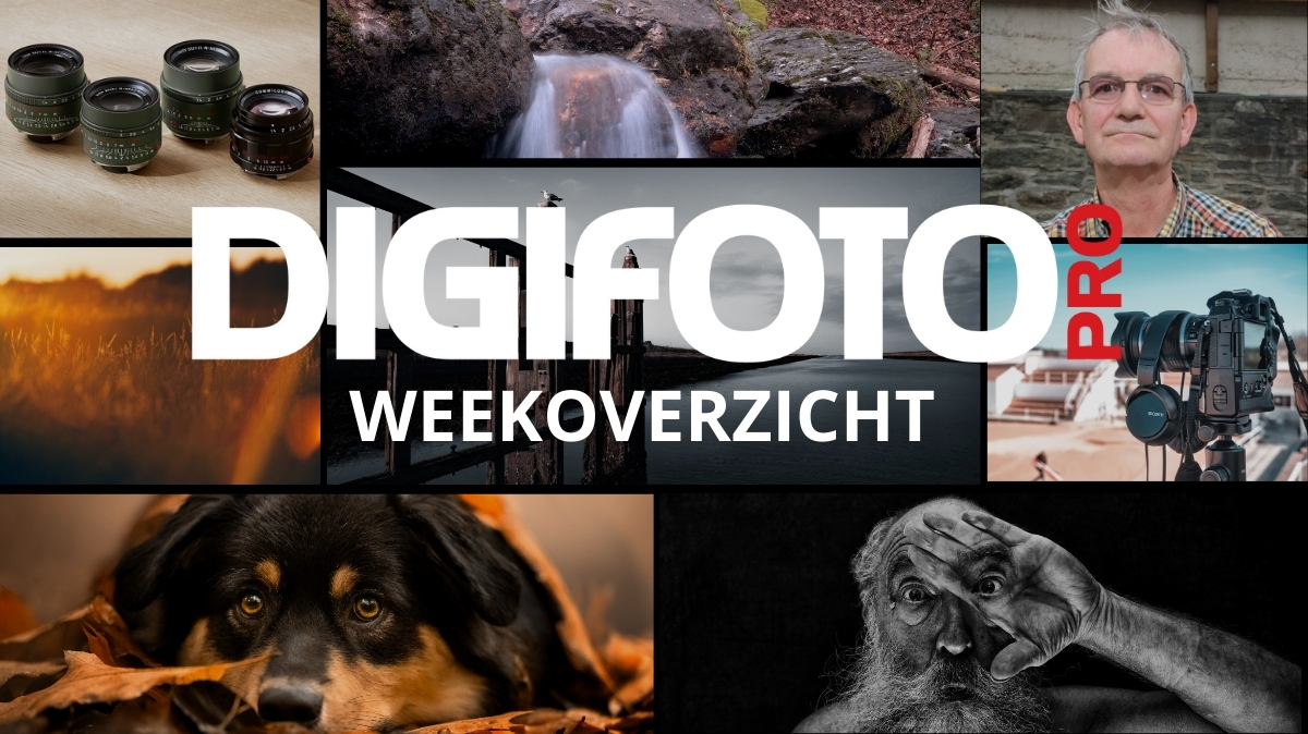 weekoverzicht-50-op-digifoto-pro