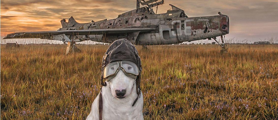 fotofair-2020-urban-furbex-workshop-in-lezingsvorm