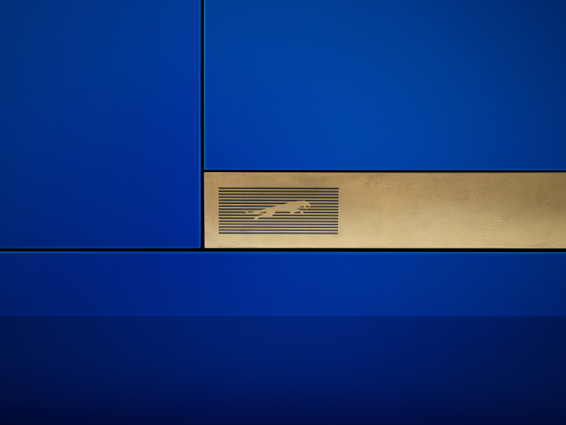 jaguars-rebranding-gewaagd-of-visionair