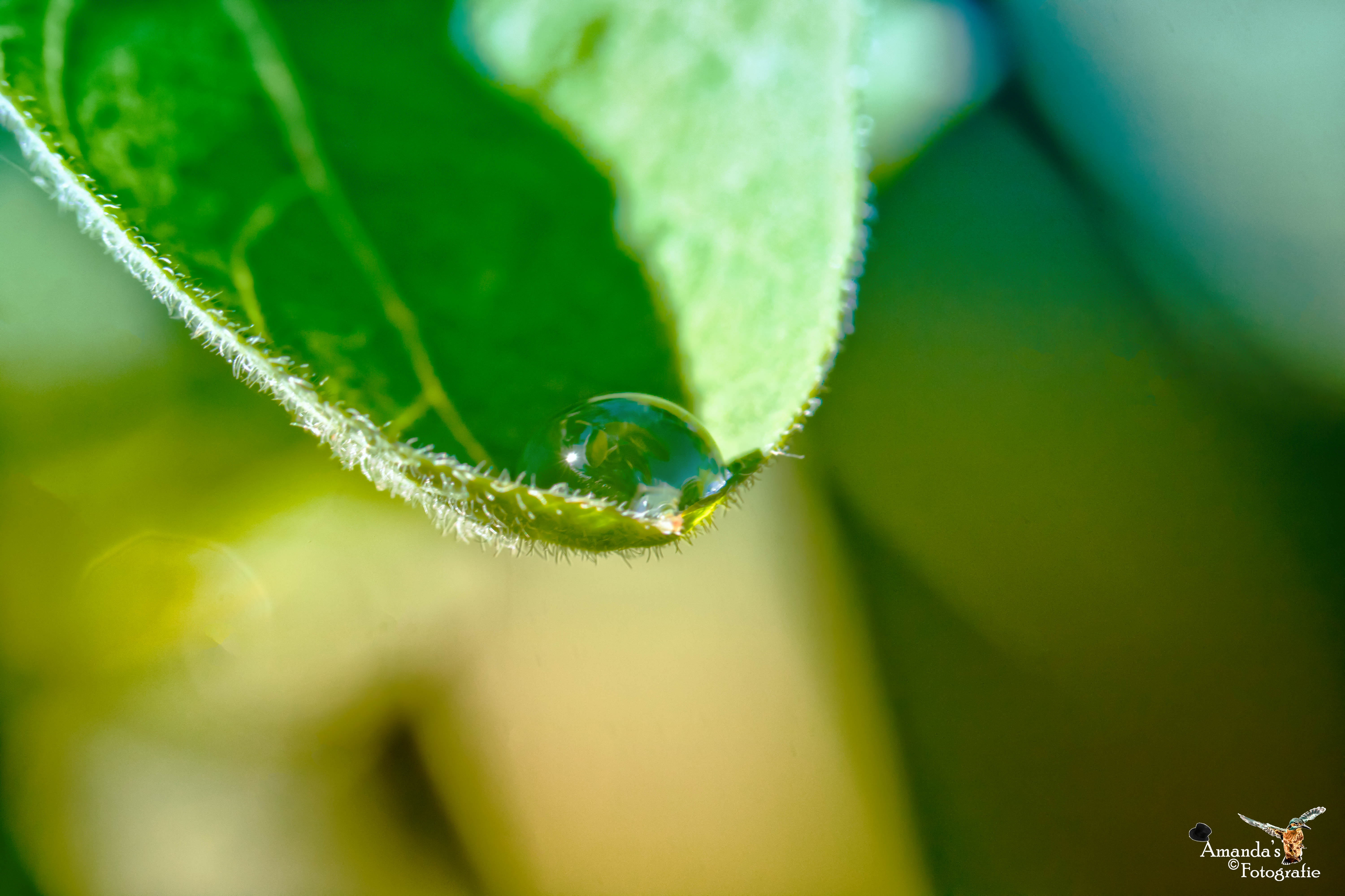 simple-but-so-beautiful