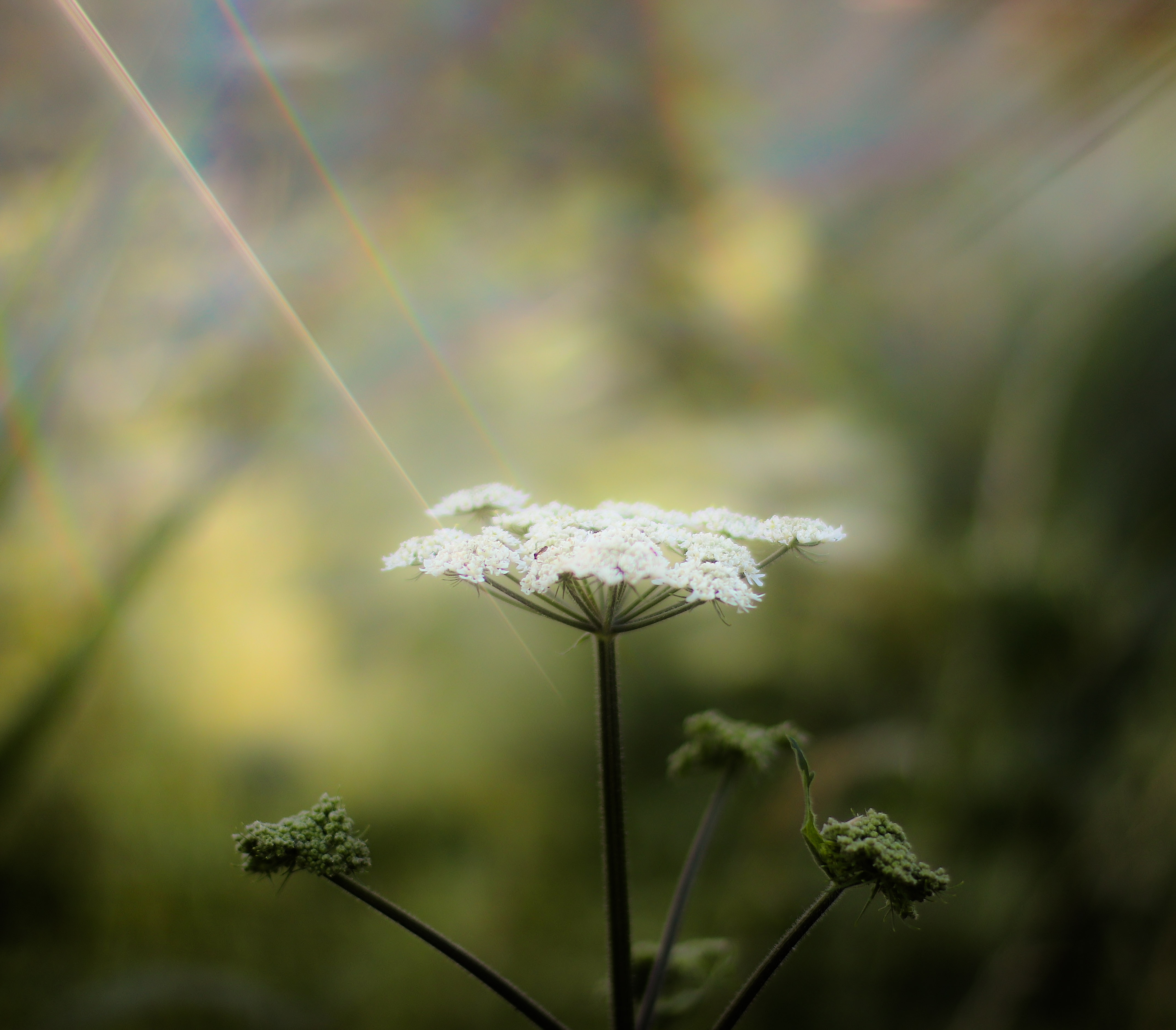 met-de-omni-filter-spelen