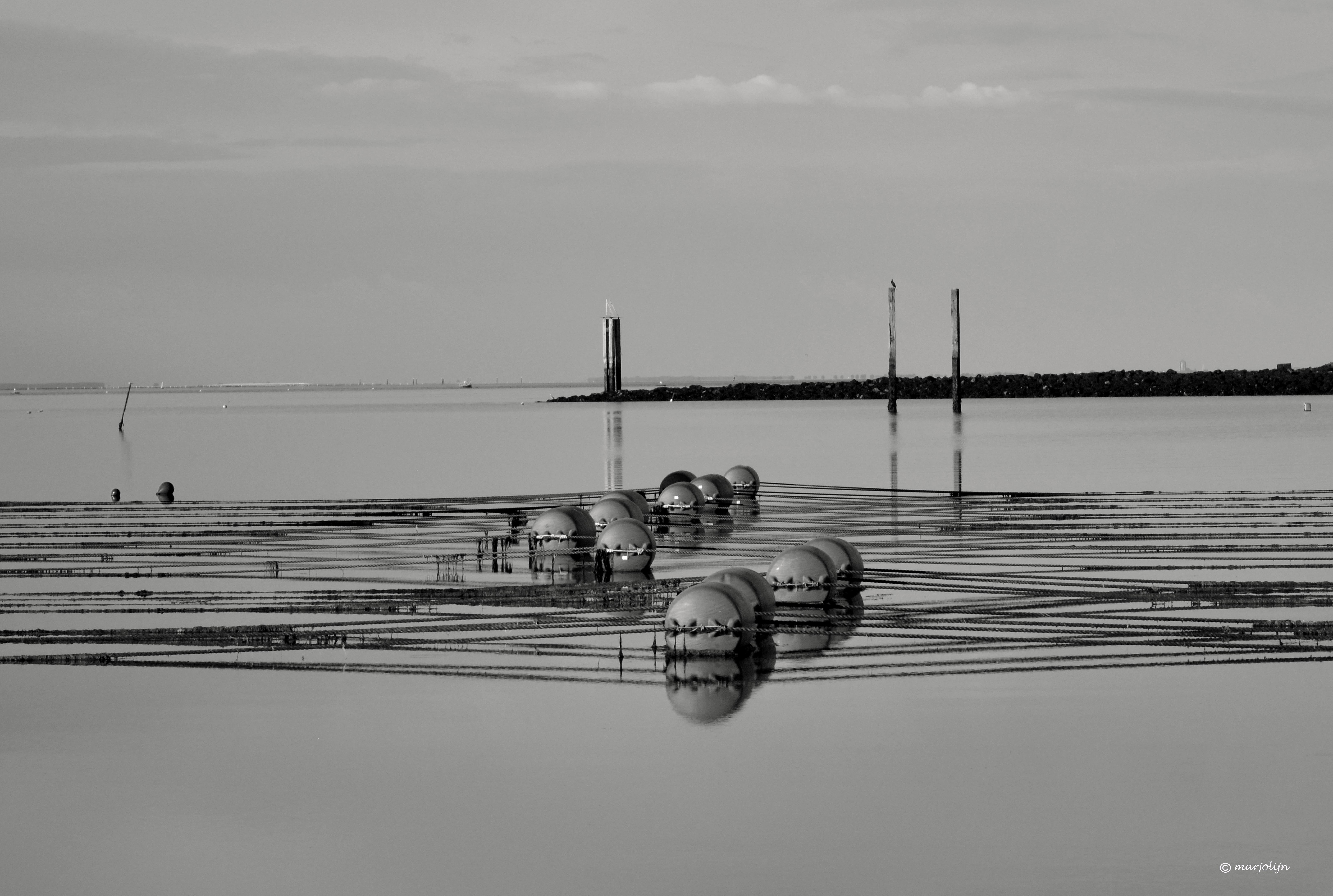 lines-silence-after-the-storm