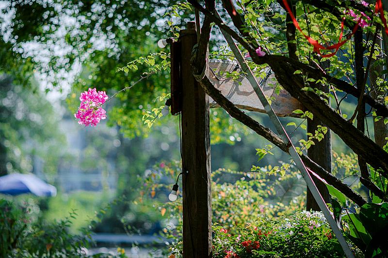 de-buitenruimte-als-visitekaartje-versterk-uw-bedrijfsimago