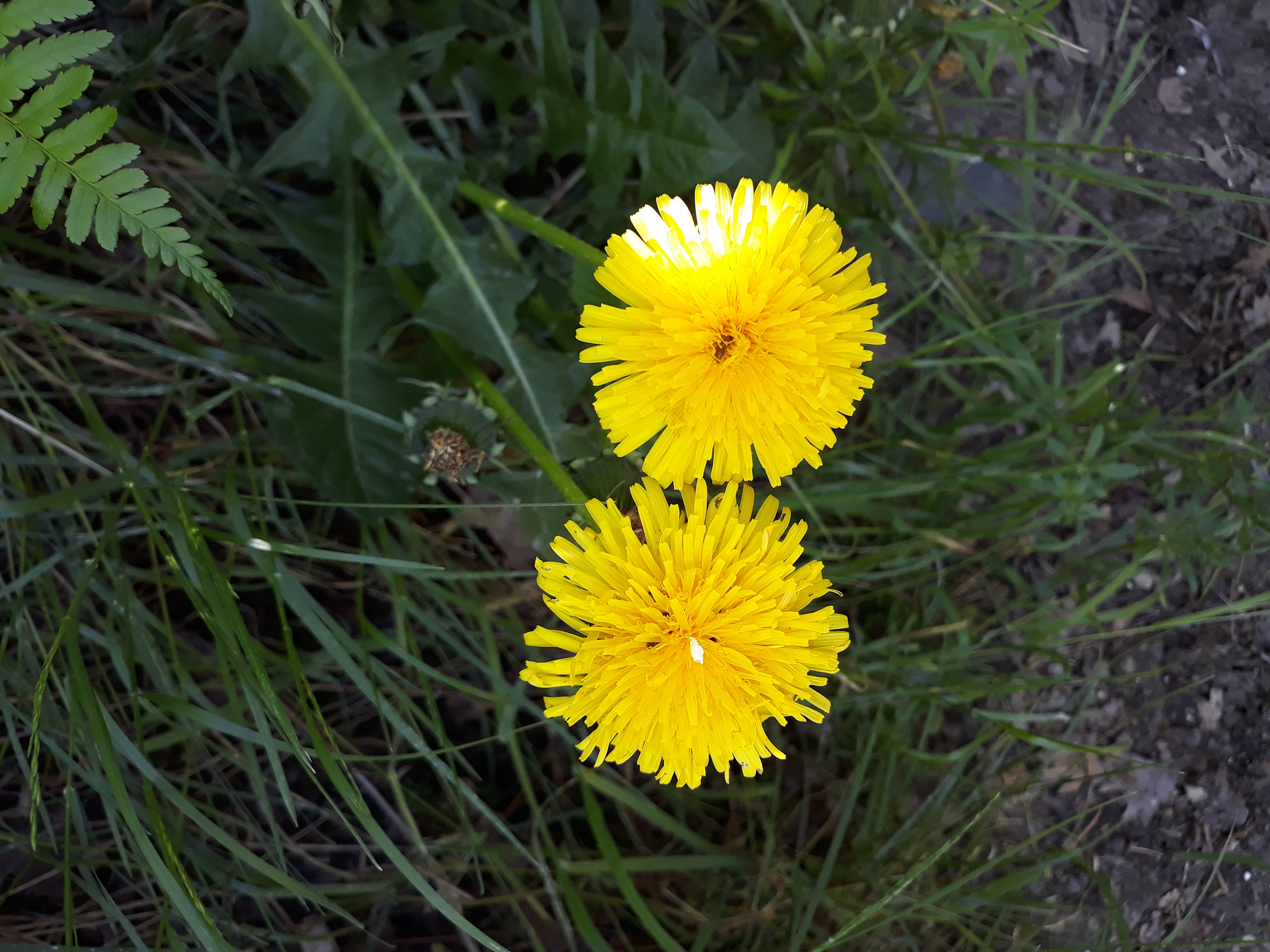 met-2-voel-je-je-niet-alleen