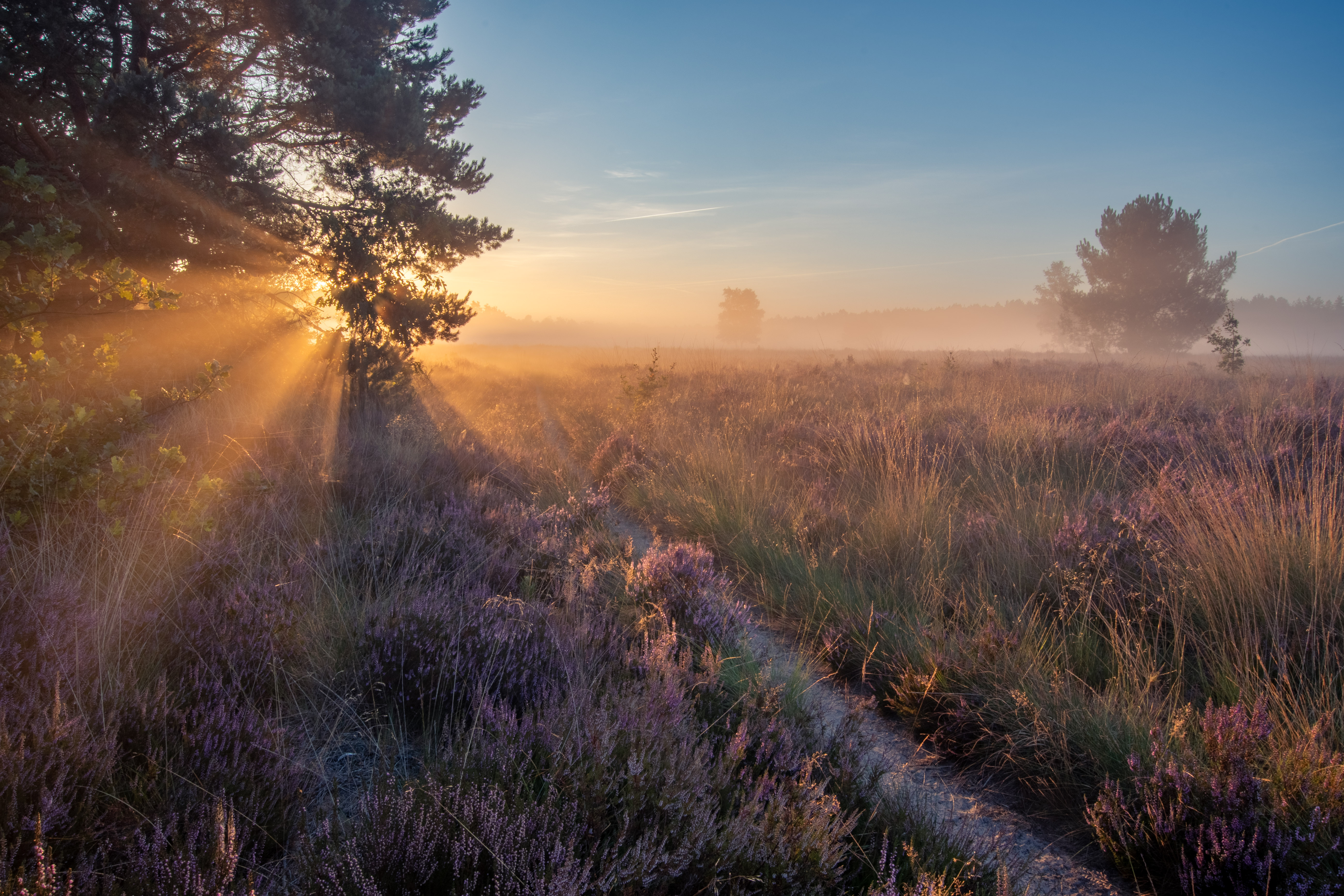 zonsopkomst-op-de-heide