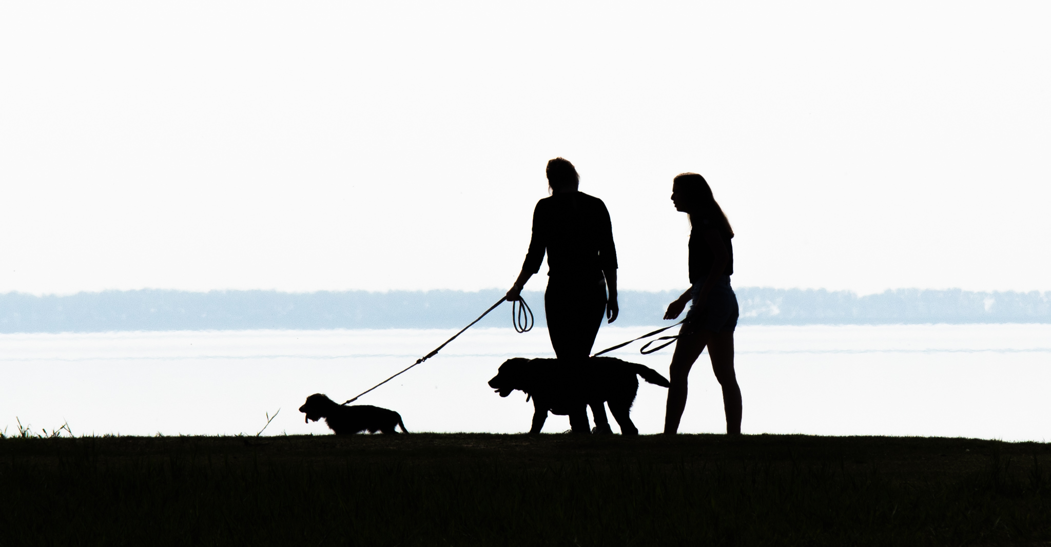 wandelen-aan-de-duitse-dollardkust