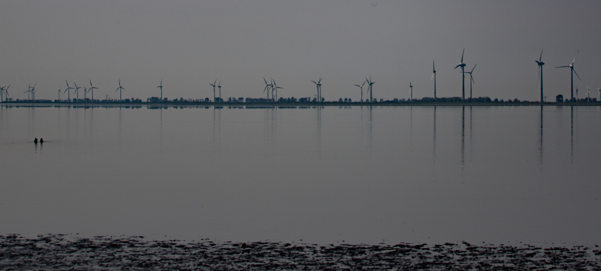 zicht-vanaf-bohrinsel-ost-friesland