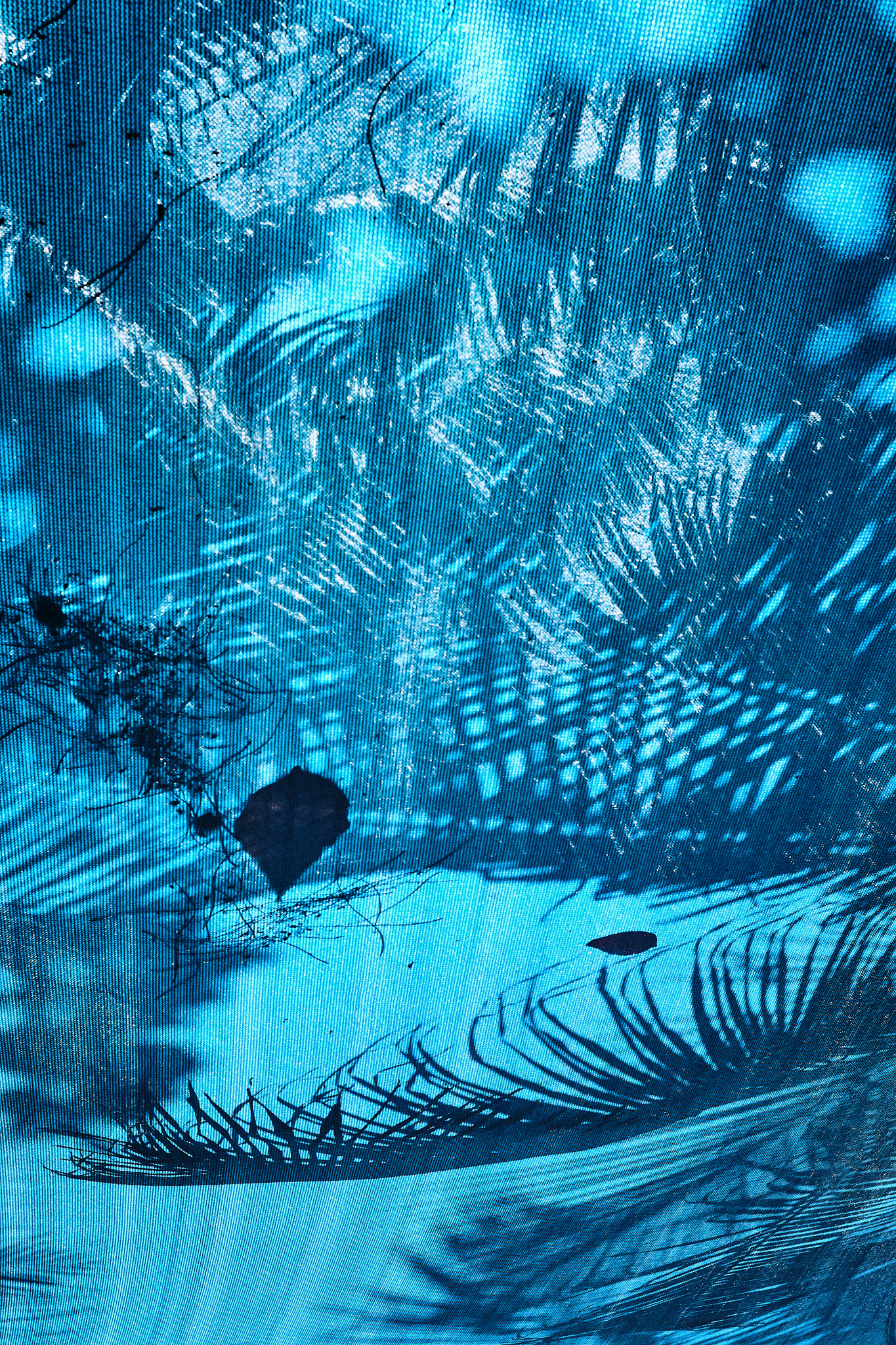 dream-playa-del-carmen-mexico