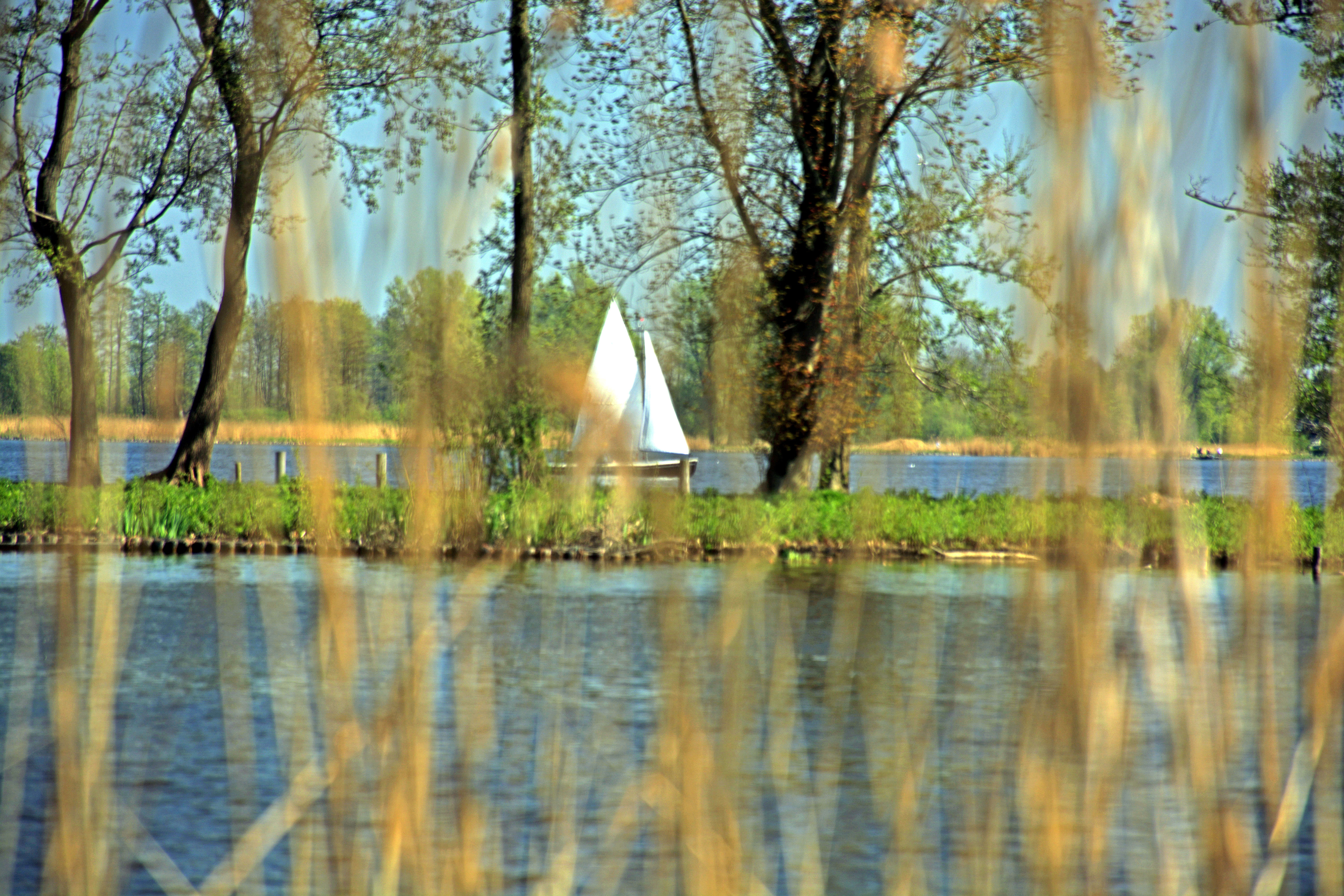 door-kijk-door-het-riet