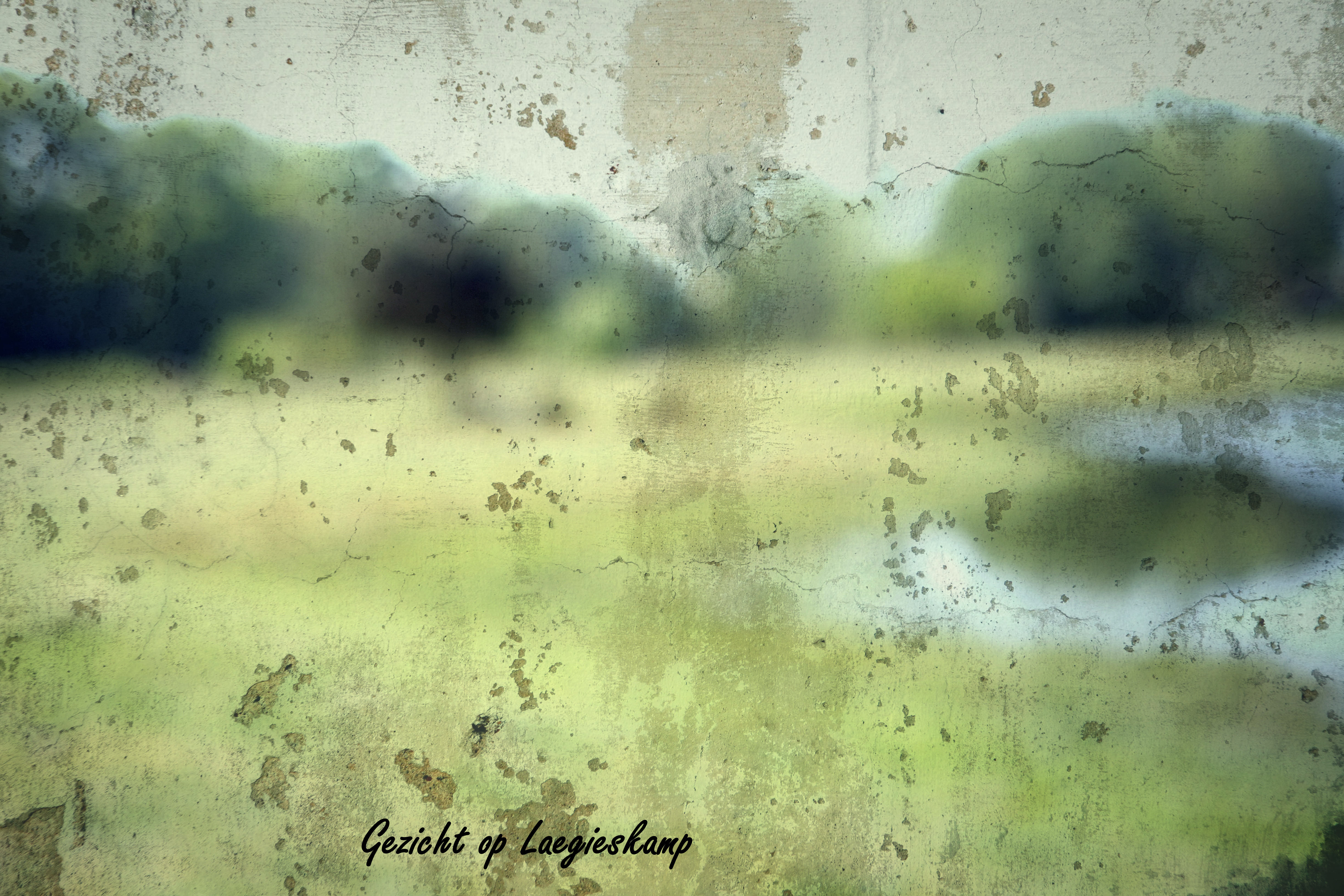 gezicht-op-laegieskamp