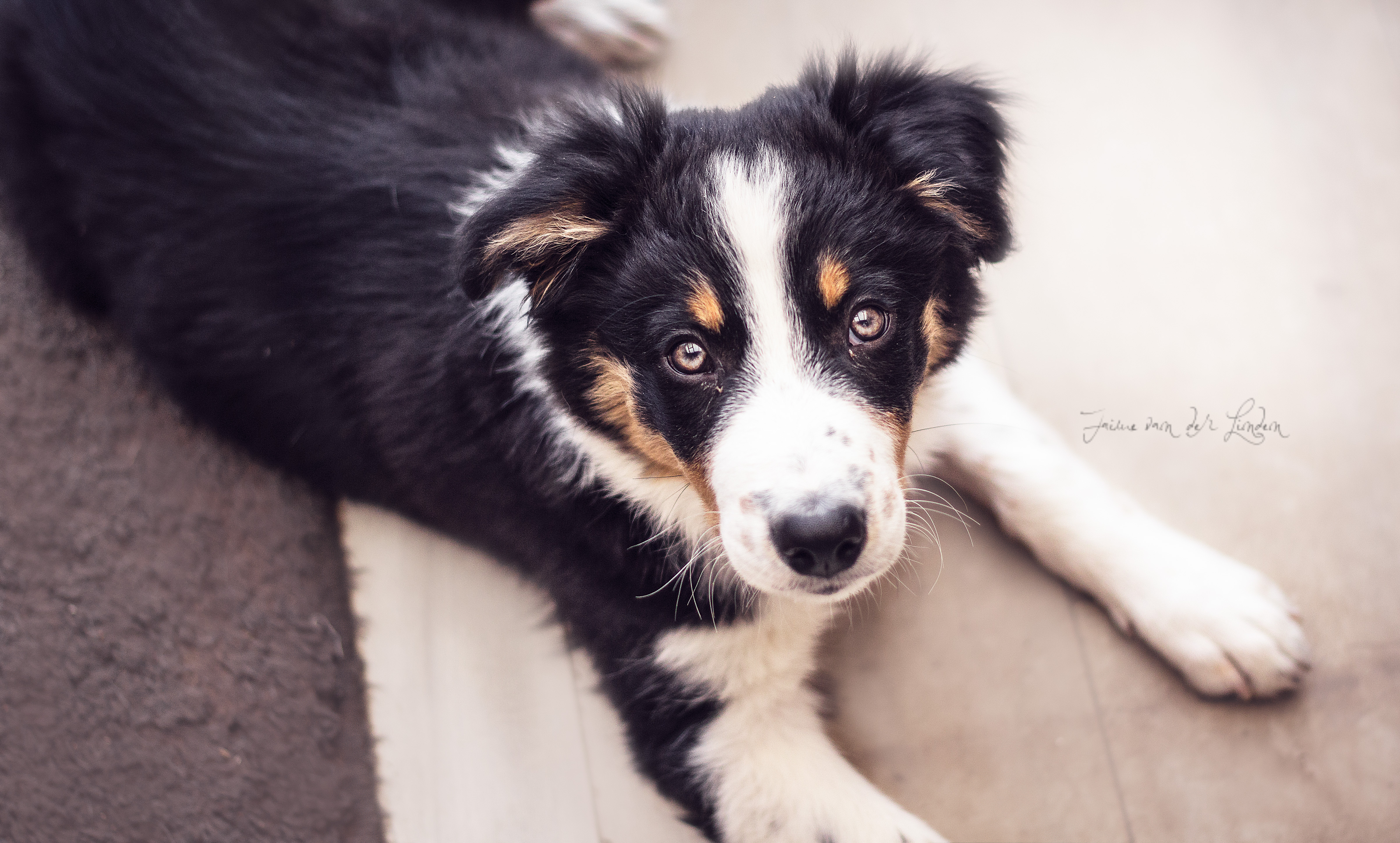 noytcb-coconut-cream-keen-look-up