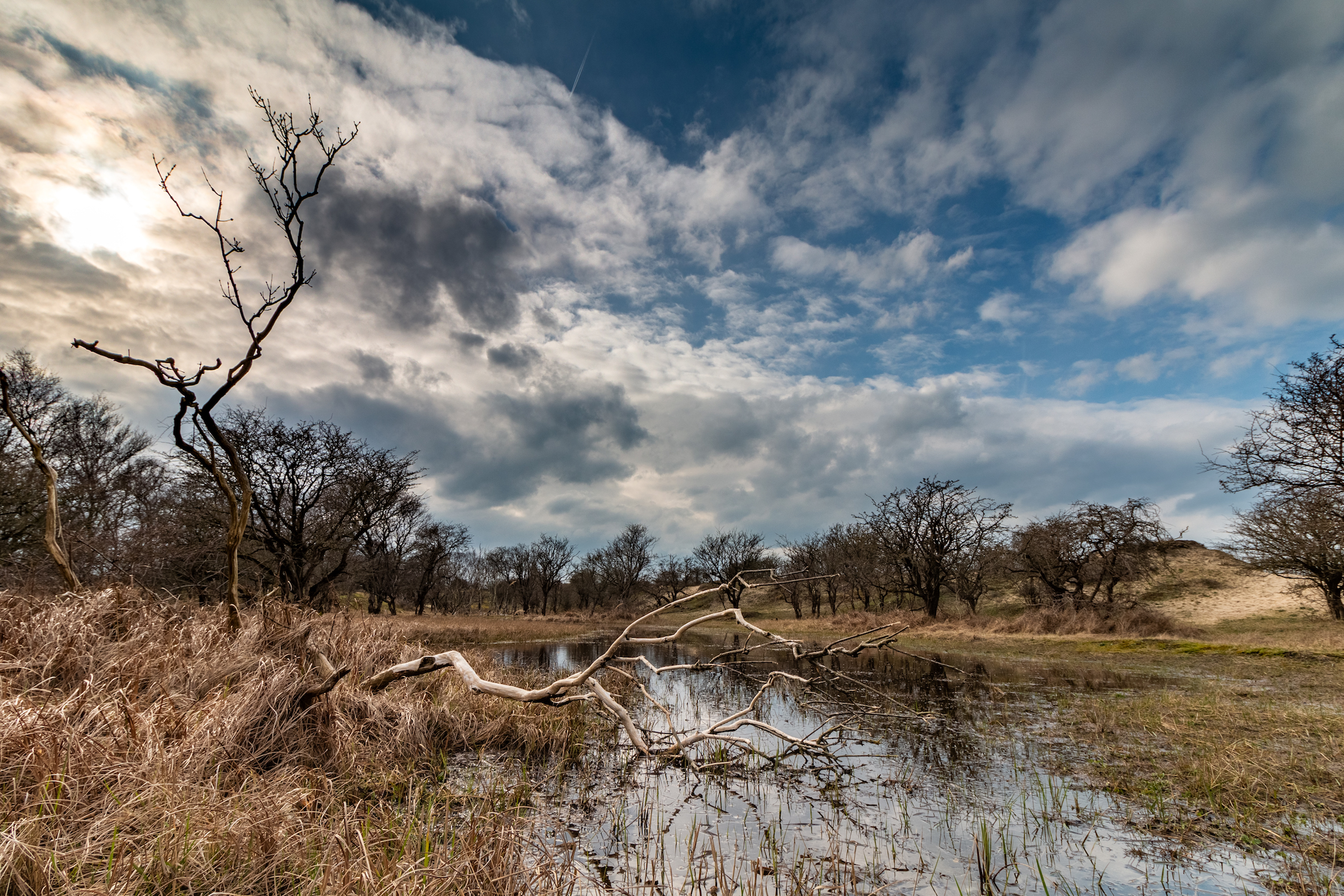 amsterdamse-waterleidingduinen