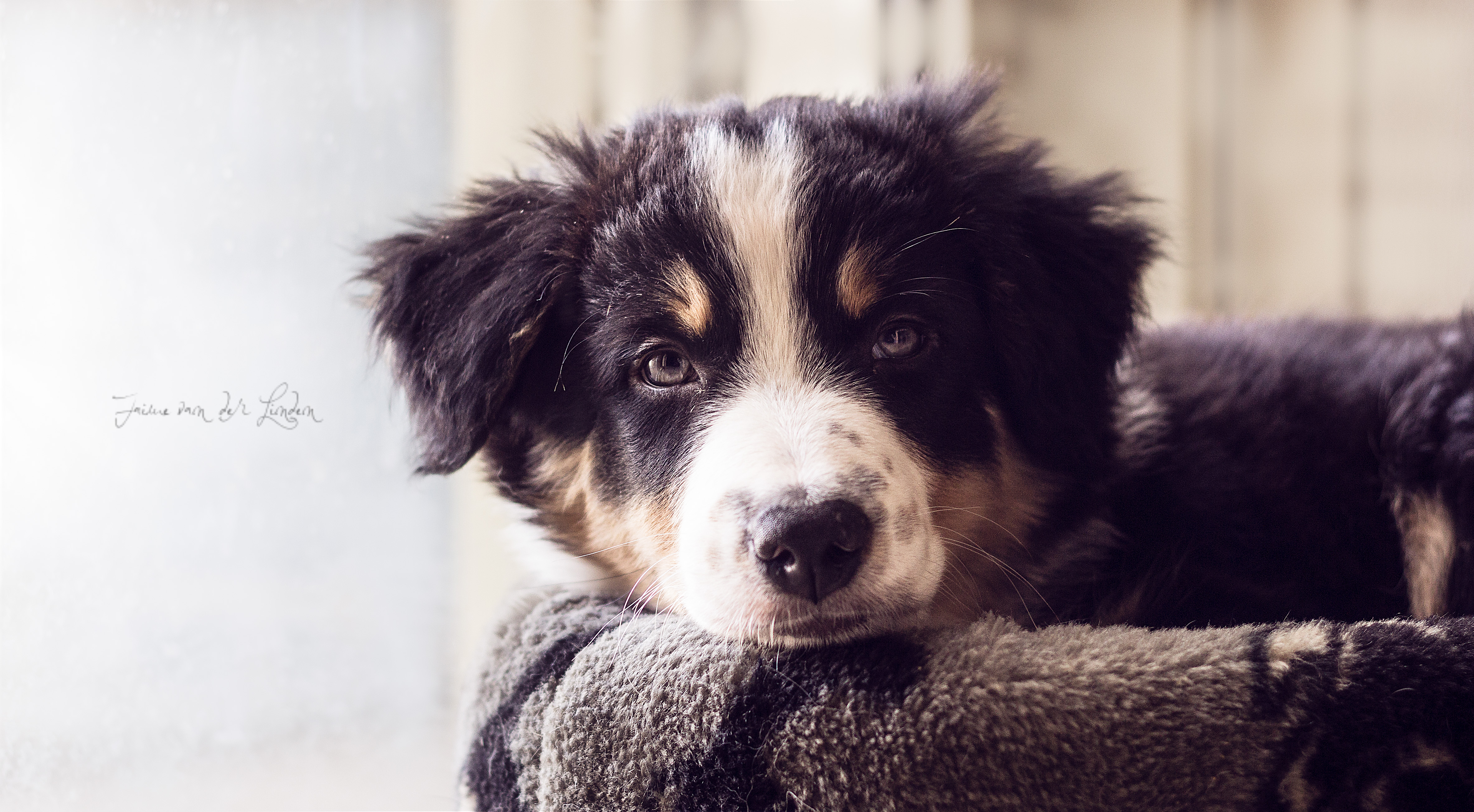 new-member-of-the-pack-noytcb-coconut-cream-keen